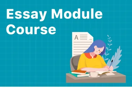 Essay Course